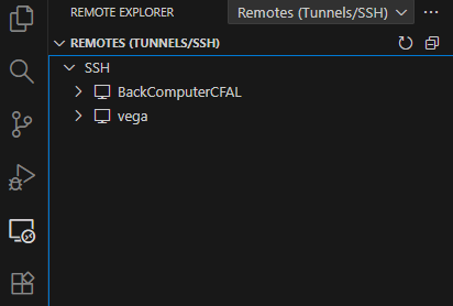 Remote Explorer Panel